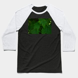 Dark green leaves Baseball T-Shirt